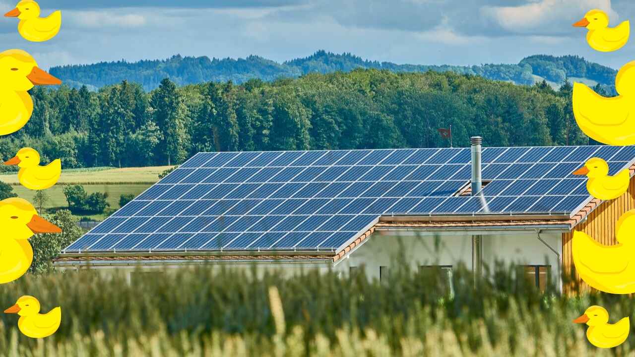  “منحني البطة”: أكبر تحد يواجه الانتشار الواسع للطاقة الشمسية