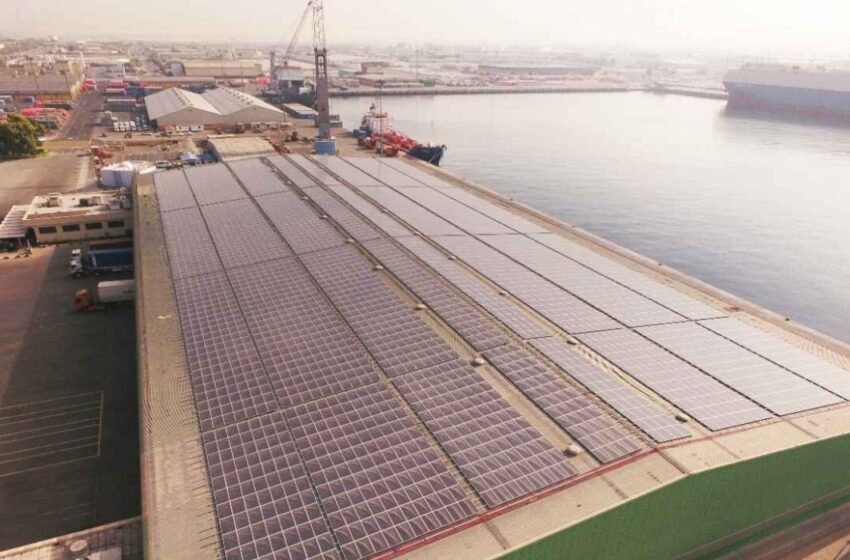محطة طاقة شمسية موزعة في موانئ دبي العالمية بقدرة 25.8 ميجاواط