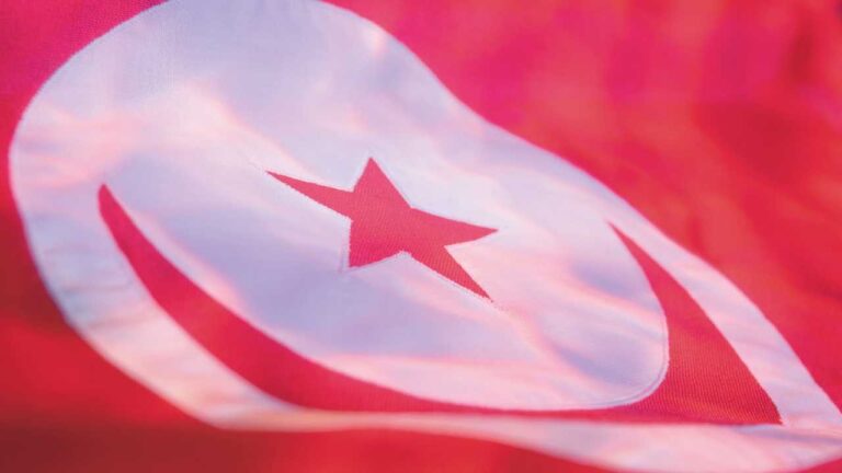 هام: الحكومة التونسية تسمح بتأسيس شركات الإنتاج الذاتي للكهرباء IPP