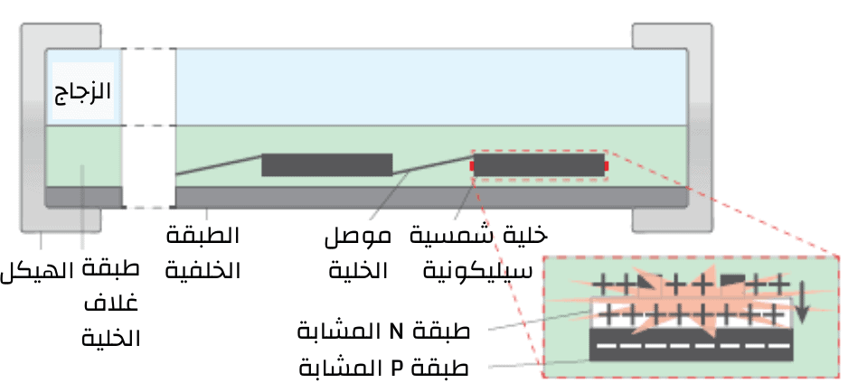 ( يتم عن طريقه انتقال الايونات السالبه والموجبه )