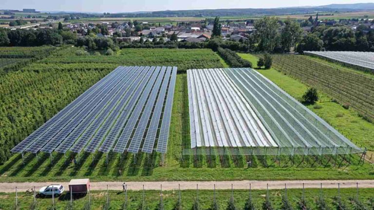 الزراعة الكهروضوئية في ألمانيا