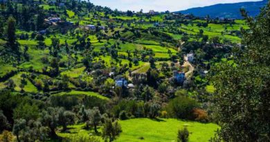 تمويل التحول الأخضر في المغرب