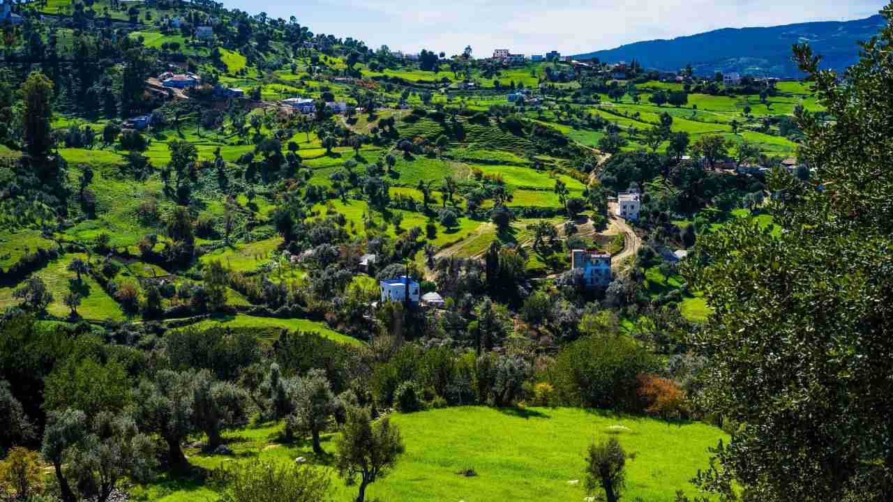  المغرب: تمويل بقيمة 25 مليون يورو مقدم من البنك الأوروبي لإعادة الإعمار والتنمية لدعم التحول الأخضر وتعزيز التخفيف من حدة تغير المناخ