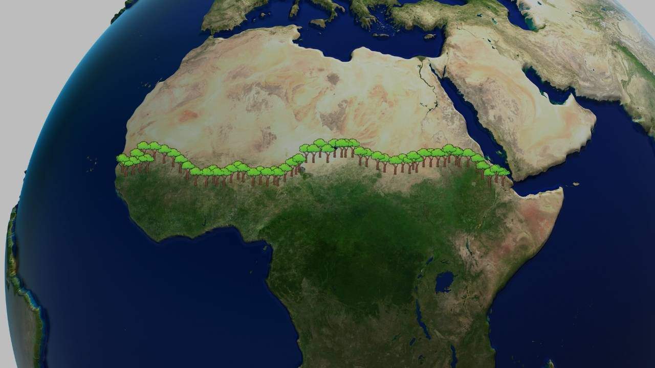  السور الأخضر العظيم… معجزة إفريقية بدأت تتحقق