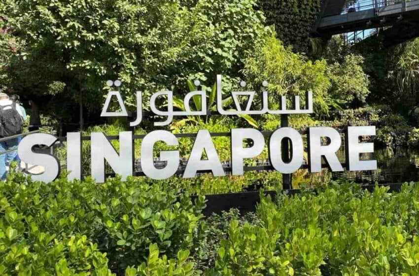  الأسبوع الأخير من إكسبو دبي 2020: الجناح السنغافوري عبارة عن غابة مصغرة وأنظمة خضراء ذكية تتألق داخل إكسبو 2020