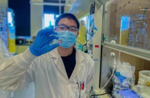 perovskite solar cells cover