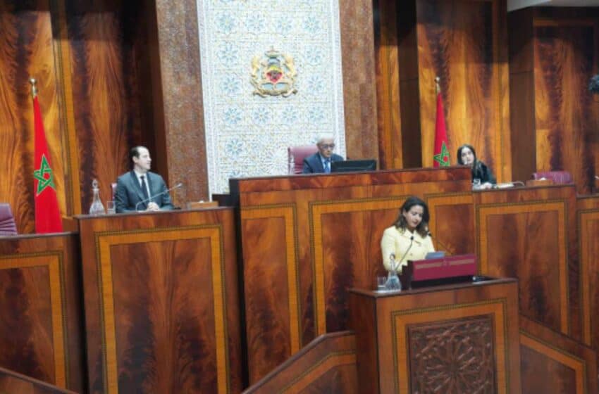  المغرب: مجلس النواب يصادق بالإجماع على مشروع قانون الإنتاج الذاتي للطاقة الكهربائية