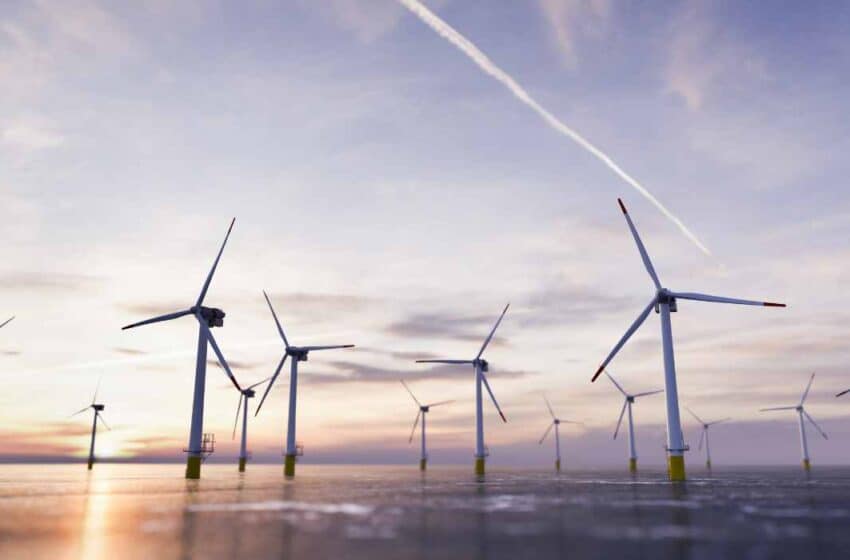  بلجيكا: قمة أوروبية لزيادة قدرات طاقة الرياح البحرية 10 أضعاف