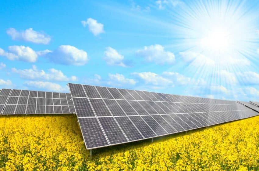  تقرير: الاستثمار بالطاقة الشمسية يتجاوز تمويل استخراج النفط للمرة الأولى