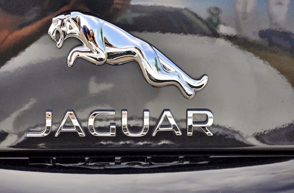 شعار شركة جاكوار SOURCE: JAGUAR COMPANY