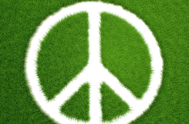 شعار السلام بخلفية من العشب الأخضر