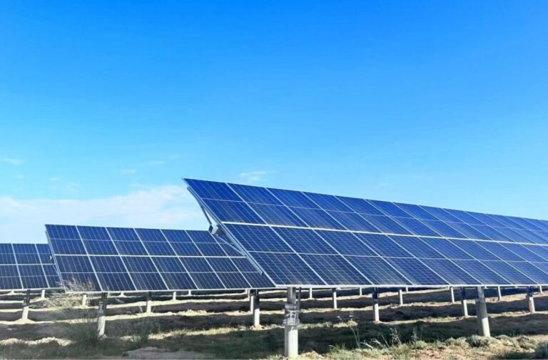 Trina Solar revitalizes goafs with Vertex N 700W modules