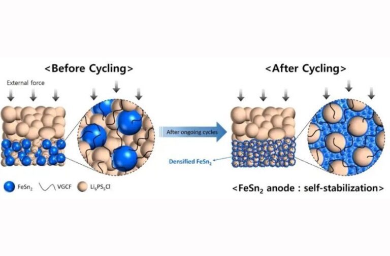 انخفاض حجم الجسيمات في سبيكة القدير FeSn2 بسبب تفاعلات إعادة التركيب أثناء الشحن والتفريغ المتكرر، مما يساعد في الحفاظ على اتصال وثيق بين الجسيمات الصلبة الداخلية في بطاريات الحالة الصلبة