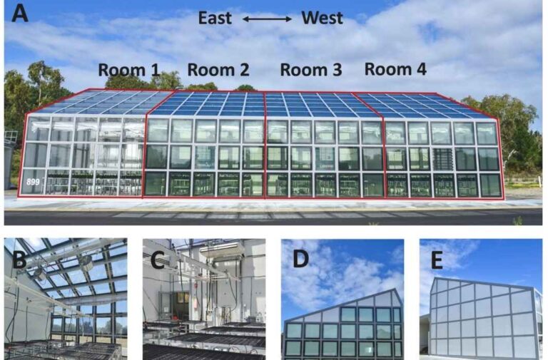 نوافذ شمسية مبتكرة تُقلل استهلاك الطاقة في البيوت الزجاجية بنسبة 57% / مصدر الصورة: science direct