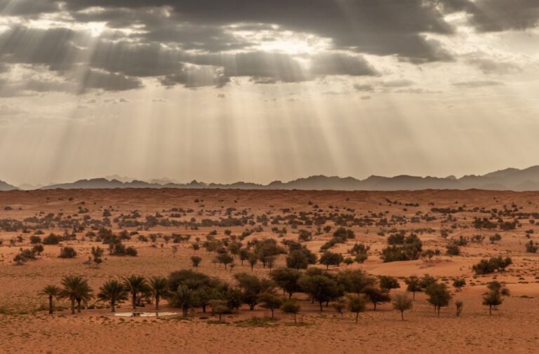 غيوم تغطي سماء الصحراء