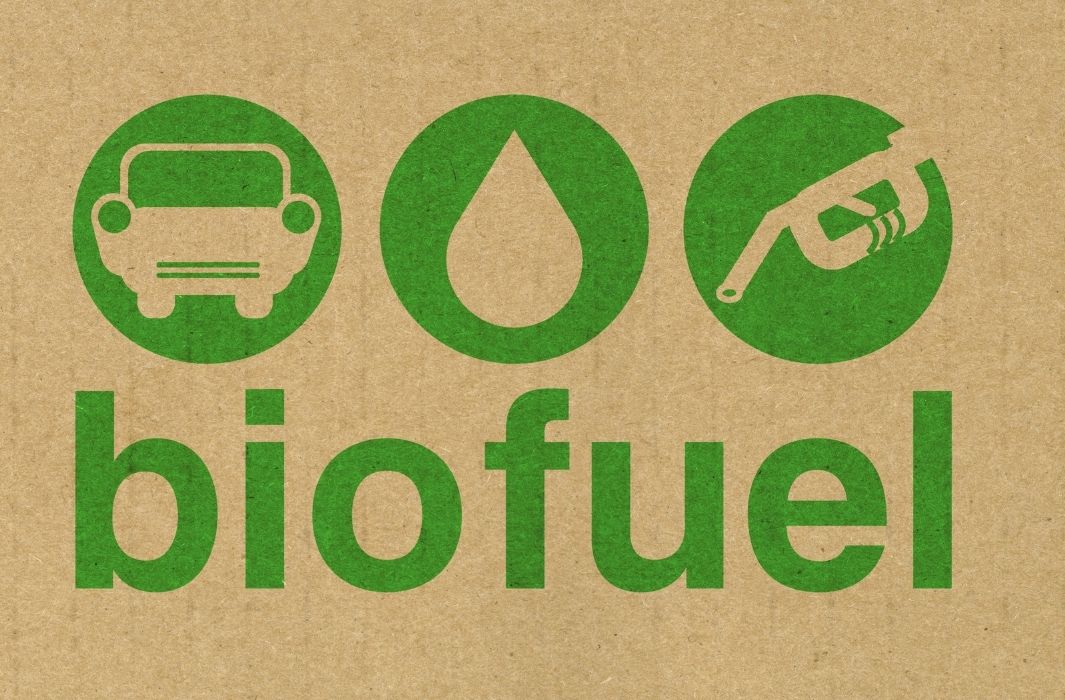 الوقود الحيوي: Biofuel