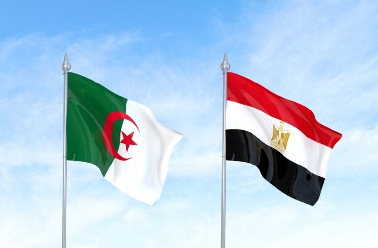 علما مصر والجزائر