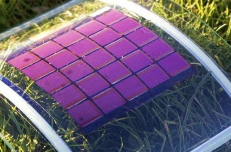 organic solar cell