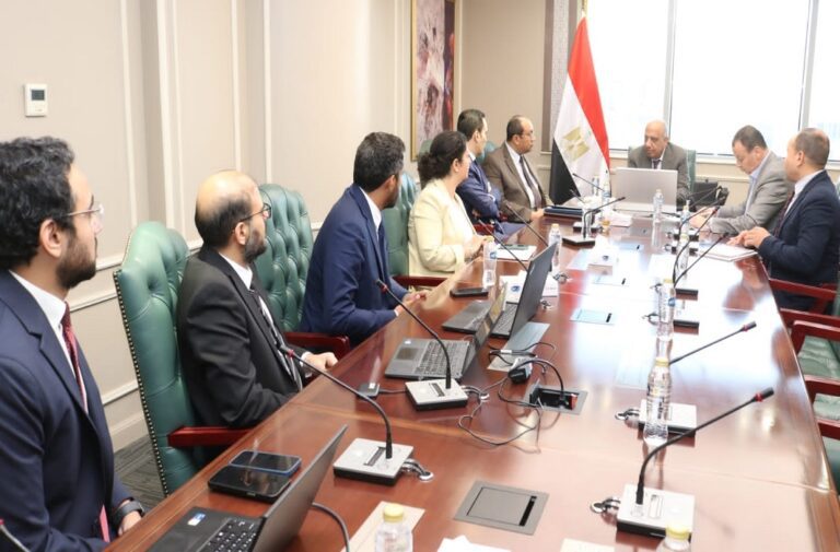 وزير الكهرباء المصري يلتقي وفد" سكاتك"