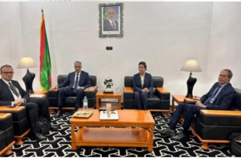 لتعزيز أمن الطاقة.. المغرب وموريتانيا يكثفان التعاون في الكهرباء والطاقات المتجددة
