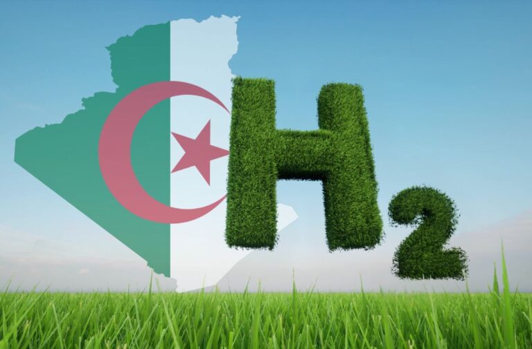 الجزائر تنضم إلى التحالف الأفريقي للهيدروجين الأخضر لتعزيز ريادتها في الطاقة النظيفة