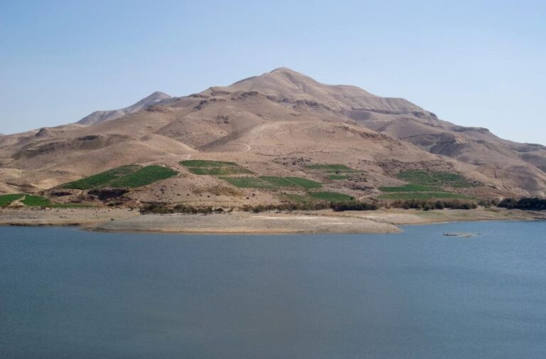 نفوق الأسماك الغامض في سد الموجب يطلق صافرة الإنذار البيئي والسلطات تتحرك