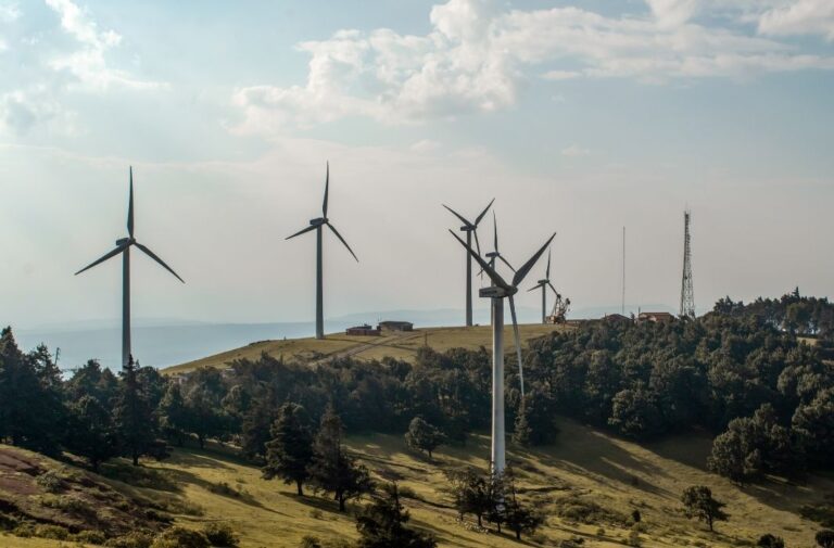 “تيرا جن” تدشّن مشروعًا لطاقة الرياح في تكساس باستطاعة 238.5 ميجاواط طاقة الرياح