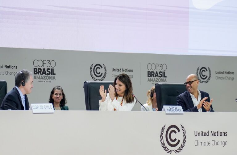 خلال فعاليات مؤتمر COP30