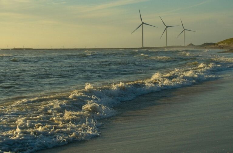 انتصار تاريخي لطاقة الرياح.. المحكمة تلغي قرار ترامب بحظرها طاقة الرياح