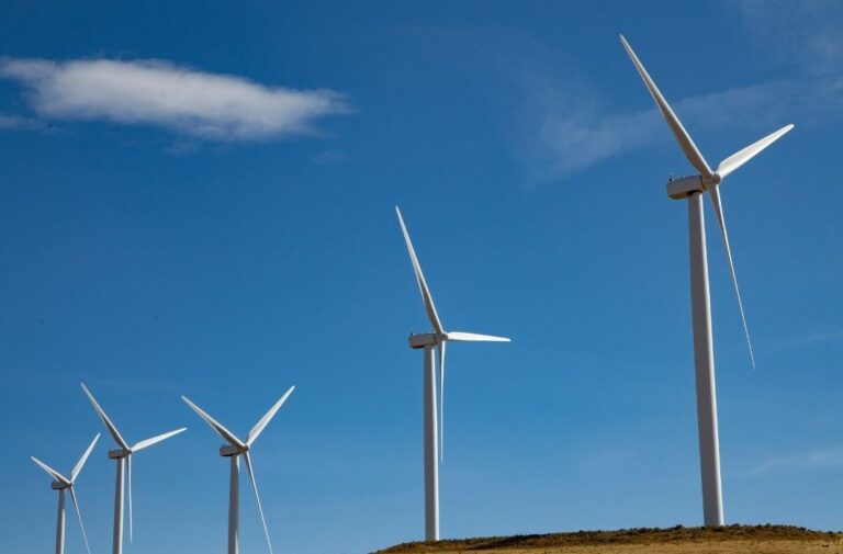 مصر تطرح محطات رياح جبل الزيت باستطاعة 580 ميجاواط للاستثمار الخاص مصر تطرح محطات رياح جبل الزيت باستطاعة 580 ميجاواط للاستثمار الخاص (تعبيرية)