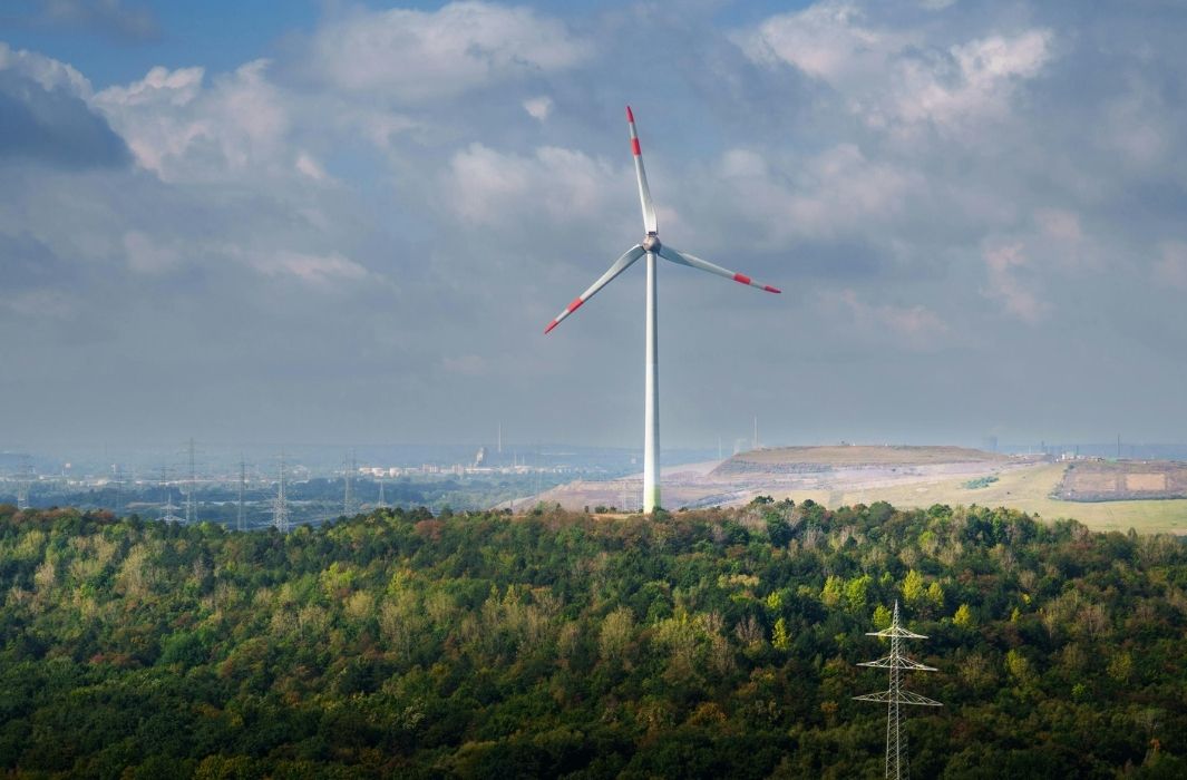 طاقة الرياح تعزز موقعها كأكبر مصدر للطاقة المتجددة في المغرب خلال 2024