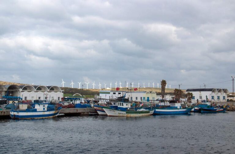 ميناء سيدي داود في نابل، تونس