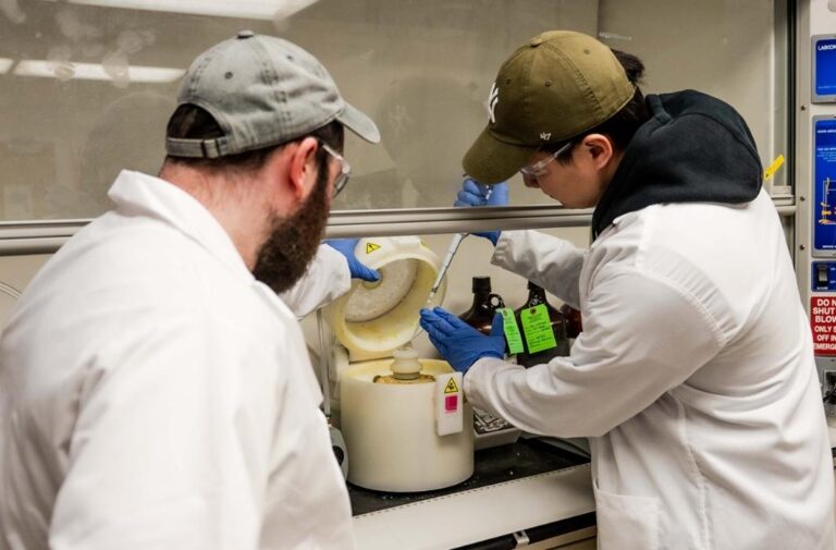 بطارية هيدروجيل مستوحاة من ثعابين البحر: مرونة فائقة وقدرة عالية في أقسى الظروف