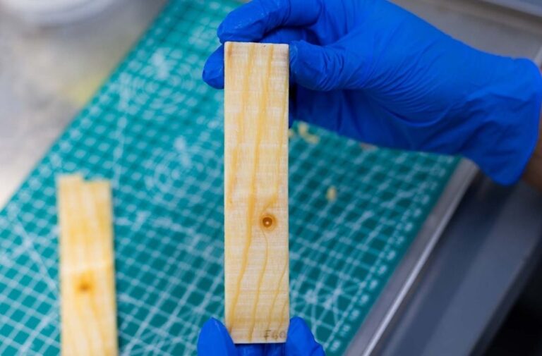 ابتكار مادة خشبية لتنظيم حرارة المباني ذاتياً دون استهلاك الكهرباء