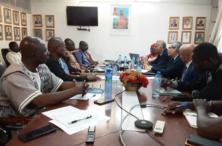 شراكة جزائرية - بوركينابية لتطوير «الشبكات المصغرة» وتحديث البنية التحتية للطاقة