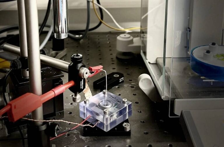 شمس وملح وكهرباء مستدامة.. ابتكار سويسري يستخلص الطاقة من تبخر المياه المالحة